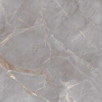 LARISA-GREY-120X120-R2 LARISA-GREY-120X120-R2