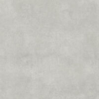 PARIS GRIS 60X60 PARIS GRIS 60X60